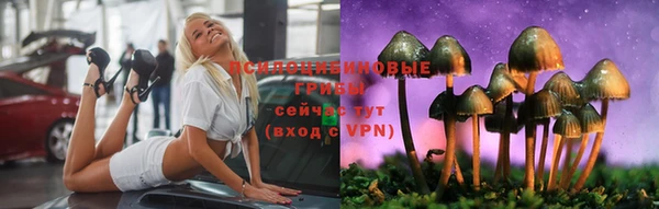 гидропоника Алзамай
