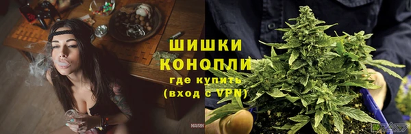 гидропоника Алзамай