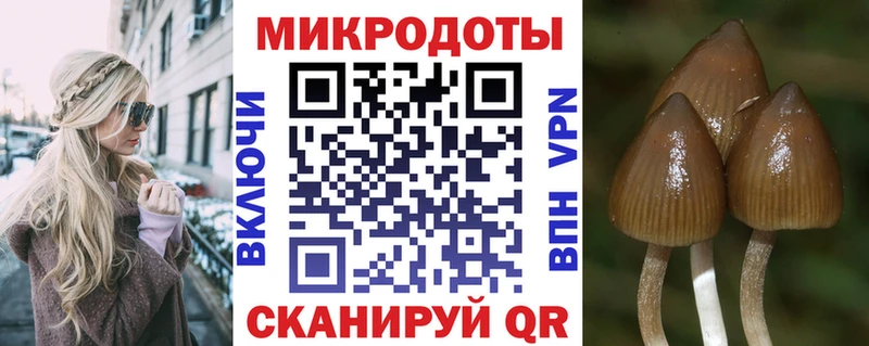 где найти   Кыштым  Псилоцибиновые грибы прущие грибы 